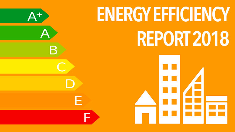 energy efficiency report